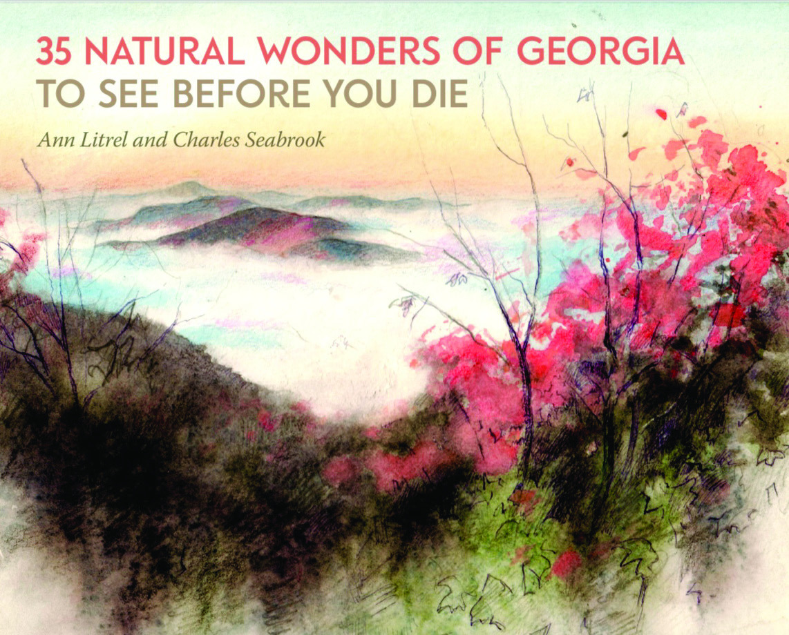 Review: 35 Natural Wonders of Georgia to See Before You Die