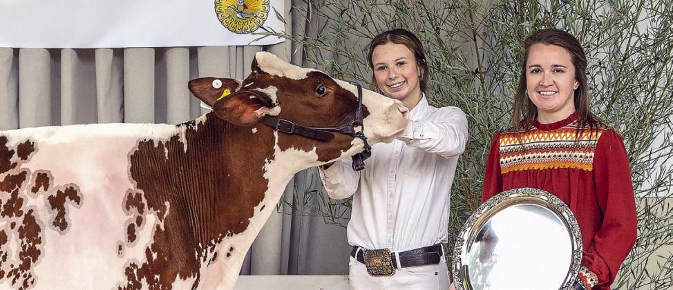 Maggie Harper of Morgan County earned Grand Champion status at the 17th annual Briar Patch Classic Dairy Heifer Show at Putnam County High School. KATIE WILLIAMS/Contributed