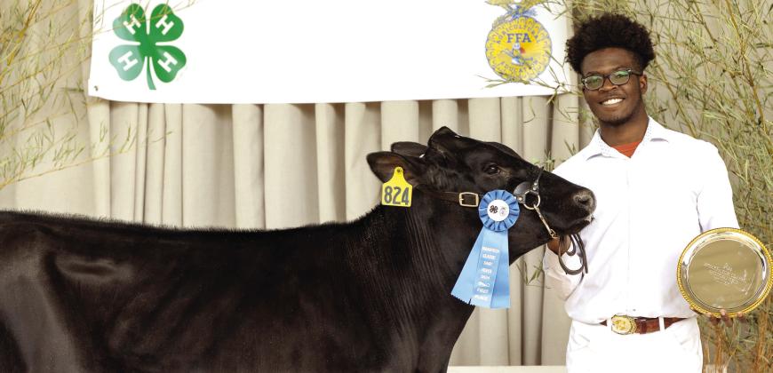 Putnam County High School student Seth Harris was the 11th-grade Showmanship winner this past Saturday for the 17th annual Briar Patch Classic Commercial Dairy Heifer Show at Putnam County High School. KATIE WILLIAMS/Contributed