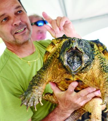 David Burke’s prehistoric-looking alligator snapping turtle looks hungry. 