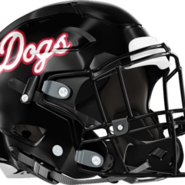 Morgan County helmet (Contributed)
