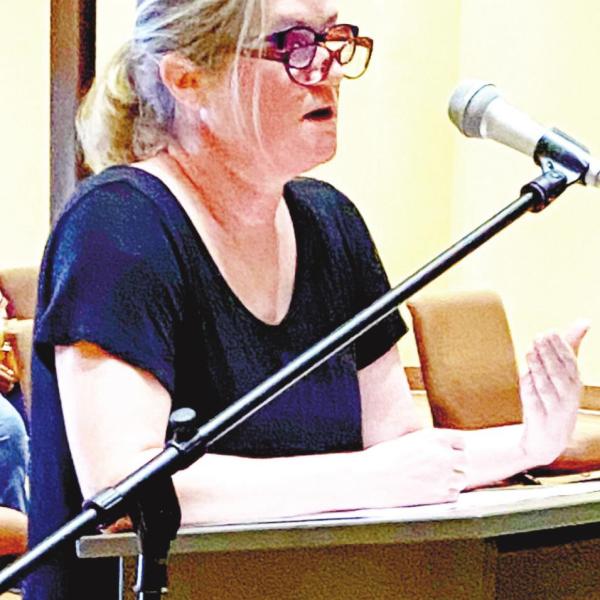 Nicole Chillemi, Executive Director of Festival Hall, gives the Greensboro City Council a yearly recap of performance metrics MAUREEN STRATTON/Staff