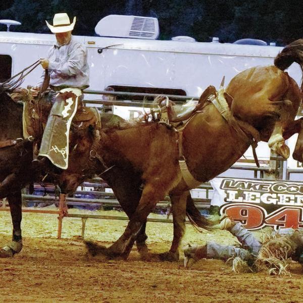A wrangler tries to rope a bull. (LEIGH LOFGREN/Staff)