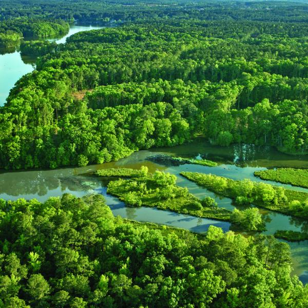 Fenmoor Golf Club will be a private, members-only course designed by Steve Smyers and is expected to open in the fall of 2026. CONTRIBUTED