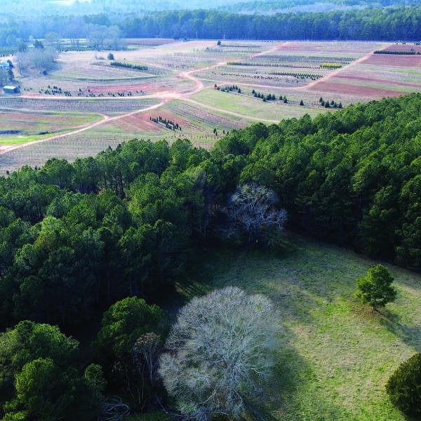 Hunter Farm is one of the two Morgan County parcels funded through the county’s Farmland Protection Program. CONTRIBUTED