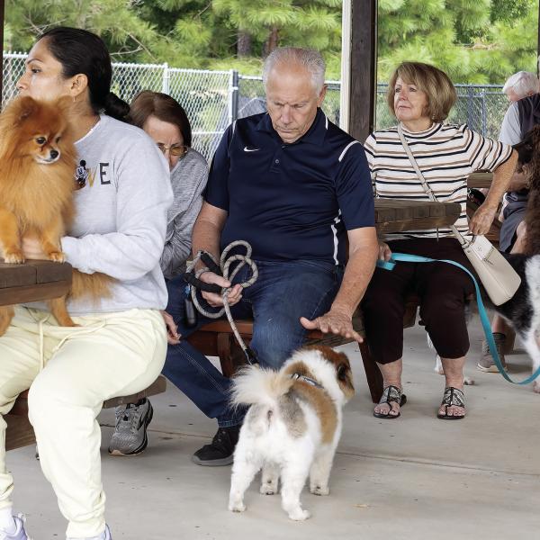 Pets and their people gather Friday for the annual Blessing of the Animals at Christ Our King and Savior Catholic Church in Greensboro. (LEIGH LOFGREN/Staff)