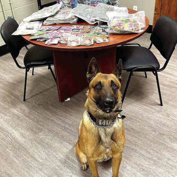 Greene County K-9 officer Griff helped Deputy Leo Sierra uncover 6.5 pounds marijuana during an April 30 traffic stop. CONTRIBUTED