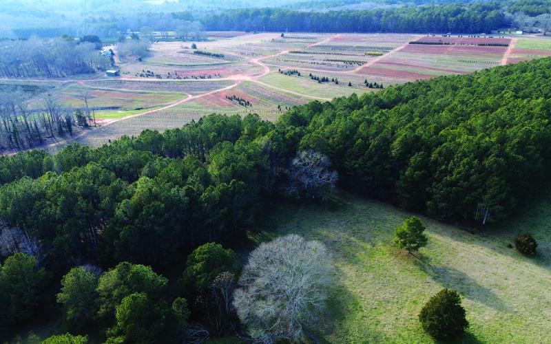 Hunter Farm is one of the two Morgan County parcels funded through the county’s Farmland Protection Program. CONTRIBUTED