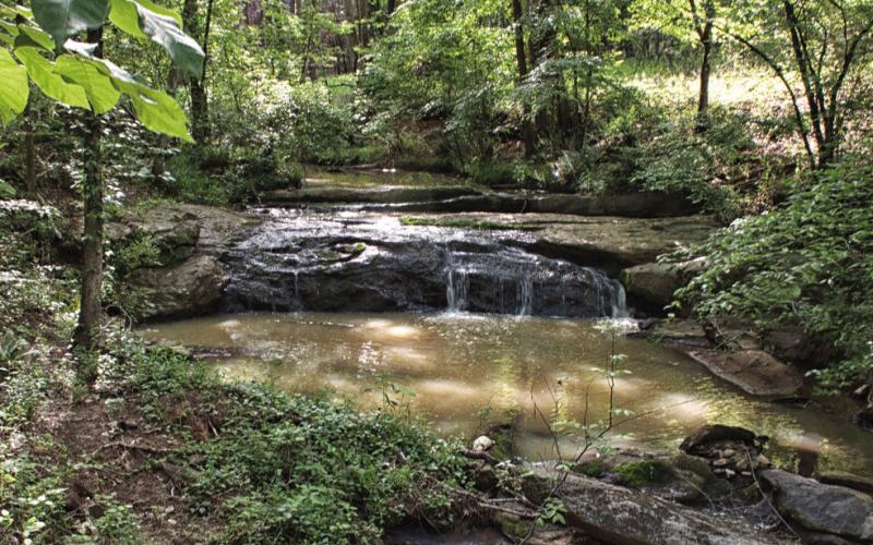 Hester Creek