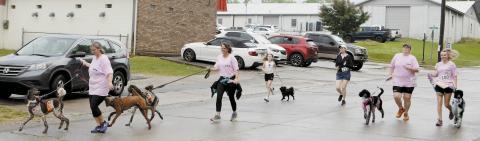 Participants return from their 5K run through Greensboro on Saturday to support Circle of Friends. (LEIGH LOFGREN/Staff)