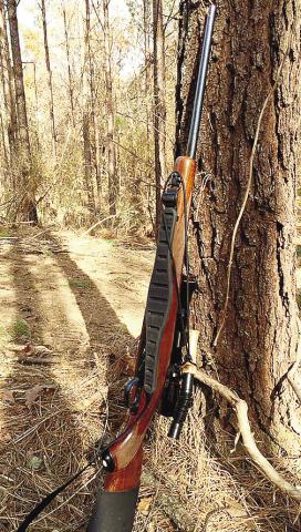 Personality of a deer rifle