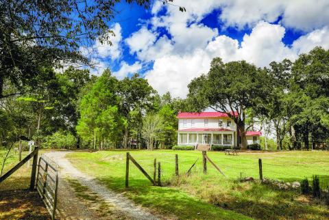 During her time on the farm at Andalusia, Flannery O’Connor would complete the bulk of her literary work from the inspiration of the farm environment. FILE PHOTO