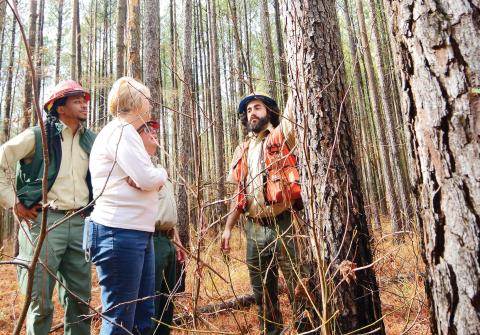 L-R: Silviculturist Deyonte Johnson, Putnam County landowner Lynne Woods and Forest Health Protection Entomologist Paul Merten speak with Forester Luke Wilson in the Oconee Ranger District pine forest near Rock Eagle. IAN TOCHER/Staff