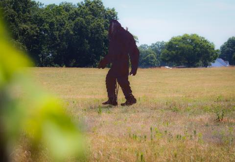 The Sasquatch that sits in the pasture on the property running adjacent to the intersection of Sandy Creek Rd. and U.S. Hwy 441 is not the same creature that was allegedly seen by a Morgan County resident. STAFF/Brendan Koerner