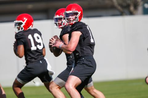 Georgia wide receiver Tyler Williams hauls in a pass. LANCE MCCURLEY/Staff