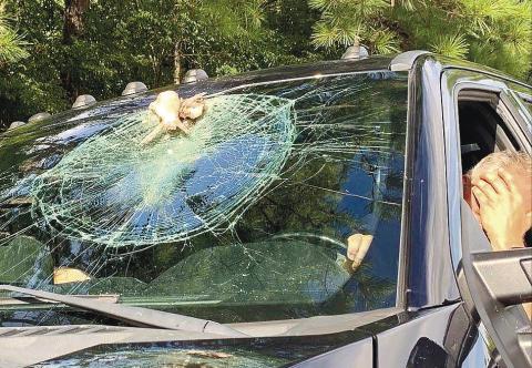 A large bird’s _sh dinner hauled out of Lake Oconee wound up on a motorist’s shattered windshield. CONTRIBUTED