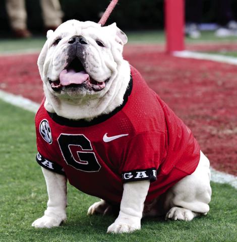 Uga X during the Bulldogs 37-14 win over Georgia Tech in a game played Nov. 26, 2022. (COURTESY OF UGA ATHLETICS)
