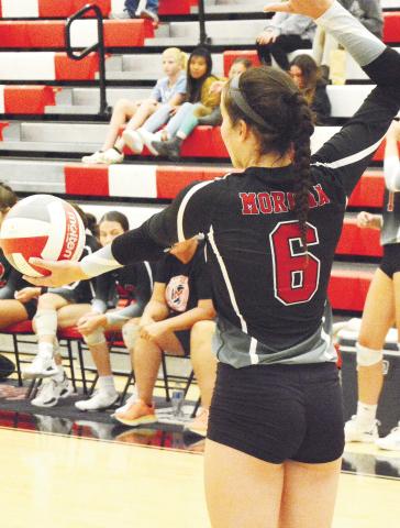 2023 Spike Dogs’ captain Quinn Butler (6) getting ready to serve the ball at a home match during last year’s regular season. BRENDAN KOERNER/Staff