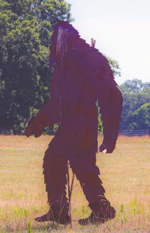The Sasquatch that sits in the pasture on the property running adjacent to the intersection of Sandy Creek Road and U.S. Hwy 441 is not the same creature that was allegedly seen by a Morgan County resident. BRENDAN KOERNER/Staff