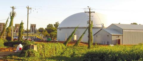 A new domed building rises on the land at T&amp;W Farms in Putnam County. The structure contains a digester which is designed to convert methane_from dairy cow manure into natural gas. MARK ENGEL/Staff