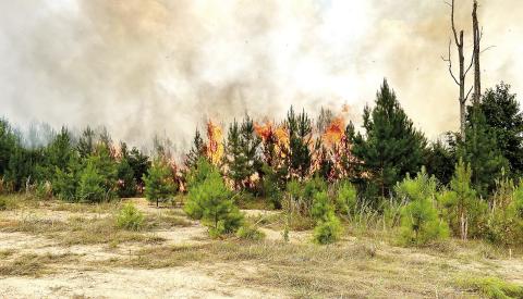 Units from five agencies responded to the brush fire in the Veazey Road area. CONTRIBUTED