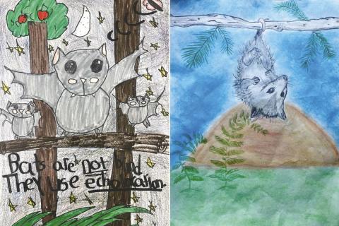 The goal of this competition is for students in grades K-5 to generate knowledge of and appreciation for Georgia’s biological diversity. The initiative is sponsored by the Georgia Department of Natural Resources (DNR), the State Botanical Garden of Georgia, and The Environmental Resources Network (TERN) friends group of DNR’s Wildlife Conservation Section.