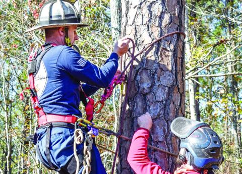 Fire Chief Rodney Wiggins learns aerial rescue techniques from an arborist at Arbor Equity Dec. 4. HANNAH BARRON/Staff