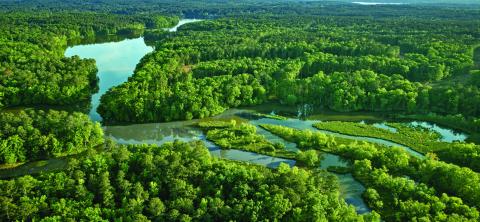 Fenmoor Golf Club will be a private, members-only course designed by Steve Smyers and is expected to open in the fall of 2026. CONTRIBUTED