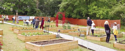On the day of grand opening, people relax and socialize at the Fifth Street Community Garden.