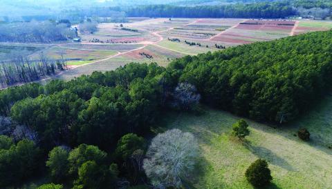 Hunter Farm is one of the two Morgan County parcels funded through the county’s Farmland Protection Program. CONTRIBUTED