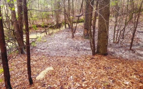Provided by the Georgia EPD, this photo shows where lime was applied to raw sewage into a tributary of Lake Oconee. CONTRIBUTED