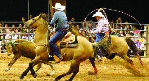 Cattle rustlers get to work during last year’s Greene County Pro Rodeo. LEIGH LOFGREN/File photo