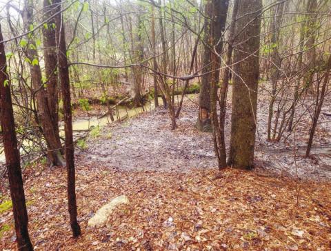 Provided by the Georgia EPD, this photo shows what is left from the _ow of raw sewage into a tributary of Lake Oconee from the Engh lift station, owned and operated by Piedmont Water Company. CONTRIBUTED Sample sites are indicated, numbered one through seven, showing the path the 271,000 gallons of untreated sewage followed through a tributary and ultimately into Lake Oconee along The Creek Club golf course. CONTRIBUTED