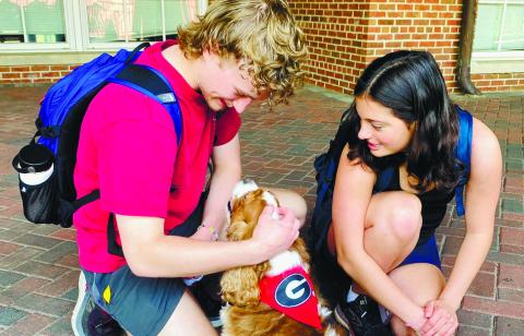 Examweary students at UGA in Athens enjoy a visit from therapy dog Gabe. CONTRIBUTED