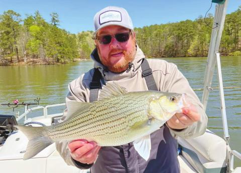 James with a springtime hybrid.