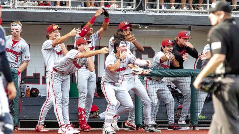 Georgia players celebrate a home run from the dugout during their game against Liberty on Saturday, May 30. SKYLA MORRIS/Staff