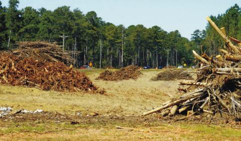 “Green waste” consisting of broken branches and roots from trees removed to make way for the expansion of Hwy. 441 north of Eatonton, may soon be recycled at a new, nearby facility on Sammons Industrial Parkway. IAN TOCHER/Staff