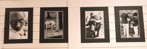 Photographic works from the students at Crossroads, the Morgan County Alternative School, are featured in the 2025 Art for Life exhibit. LEIGH LOFGREN/Staff