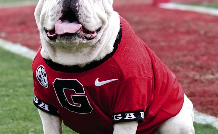Uga X during the Bulldogs 37-14 win over Georgia Tech in a game played Nov. 26, 2022. (COURTESY OF UGA ATHLETICS)
