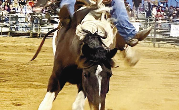 Bronco bustin’ gets serious at the 24th annual Greene County Rodeo.
