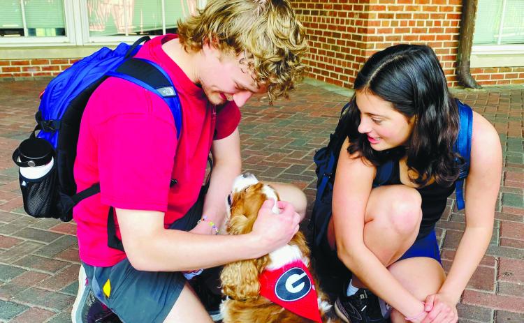 Examweary students at UGA in Athens enjoy a visit from therapy dog Gabe. CONTRIBUTED