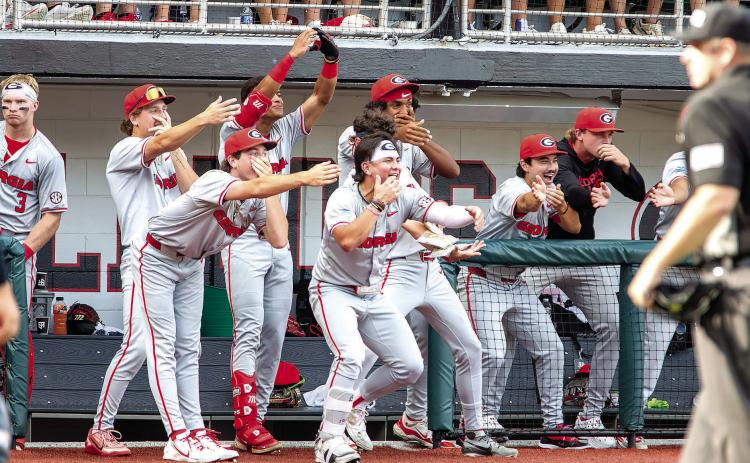 Georgia players celebrate a home run from the dugout during their game against Liberty on Saturday, May 30. SKYLA MORRIS/Staff