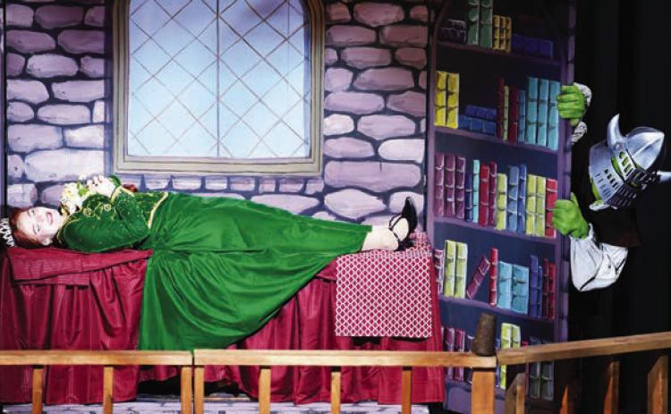 Many of the sets for Shrek the Musical were relatively simple but very effective in creating humorous or dramatic atmospheres as required for the action on stage. IAN TOCHER/Staff